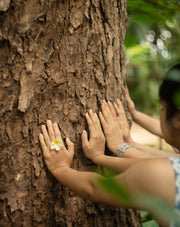The Healing Power of Forests