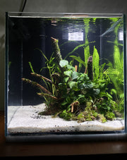 The Fluid Frame