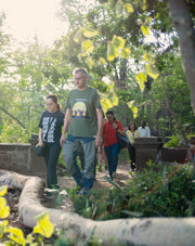 The Healing Power of Forests