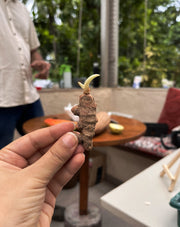 Kitchen Harvest
