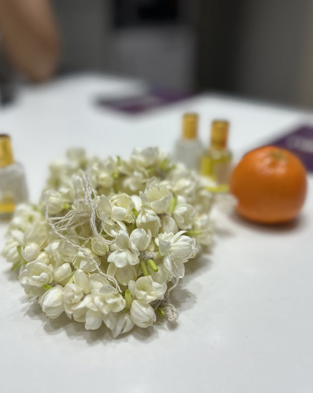 A Perfumer’s Atelier