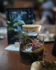 Glass Gardens