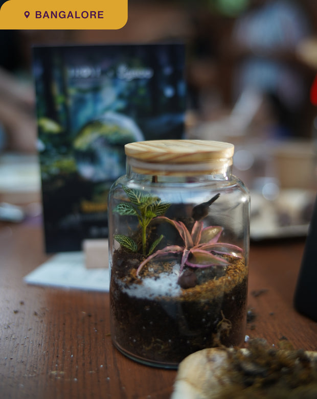 Glass Gardens